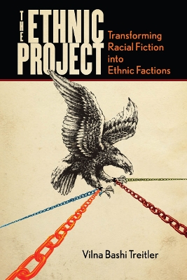 Book cover for The Ethnic Project