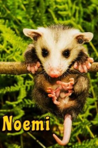 Cover of Noemi