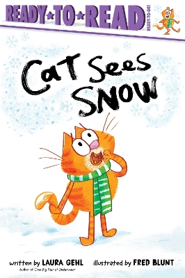 Book cover for Cat Sees Snow