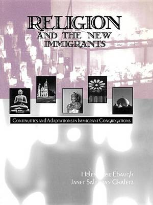 Book cover for Religion and the New Immigrants