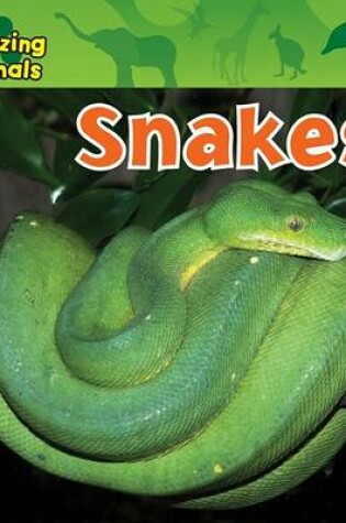 Cover of Snakes