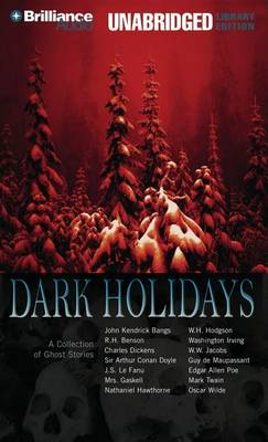 Book cover for Dark Holidays
