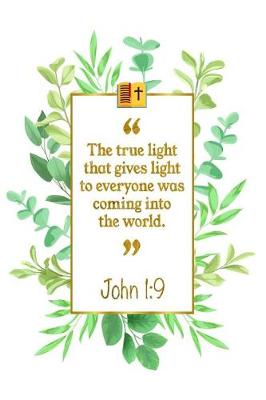 Book cover for The True Light That Gives Light to Everyone Was Coming Into the World