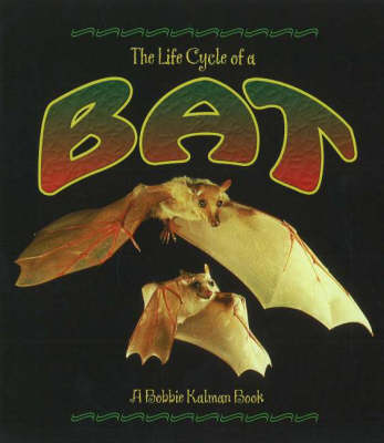 Book cover for The Life Cycle of a Bat