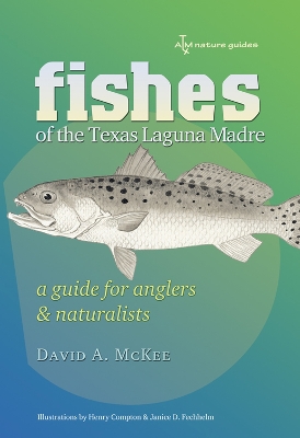 Book cover for Fishes of the Texas Laguna Madre