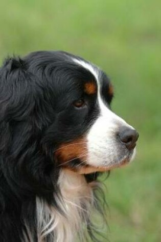 Cover of Bernese Mountain Dog Profile Journal