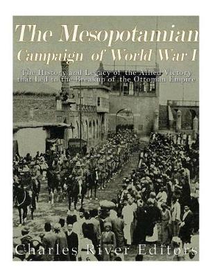 Book cover for The Mesopotamian Campaign of World War I