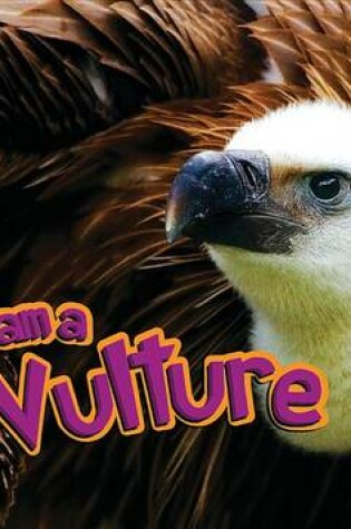 Cover of I Am a Vulture