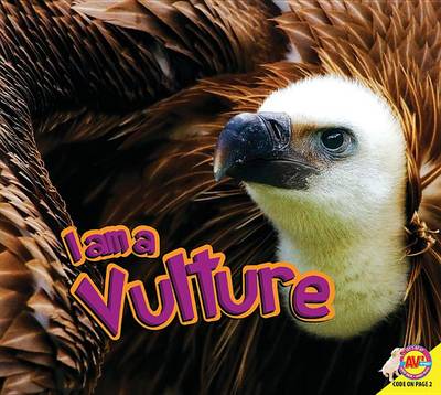 Cover of I Am a Vulture