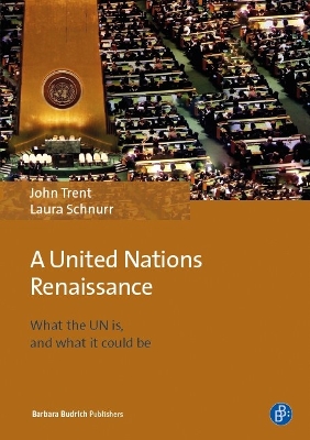 Book cover for A United Nations Renaissance