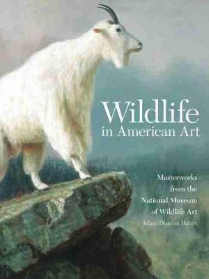 Book cover for Wildlife in American Art