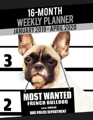 Cover of 2019-2020 Weekly Planner - Most Wanted French Bulldog (French Bull Dog)