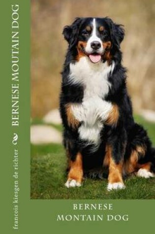 Cover of bernese moutain dog