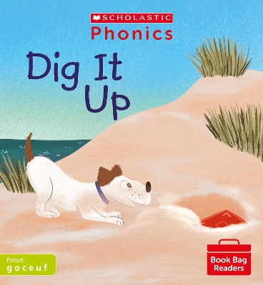 Book cover for Dig It Up (Set 2)