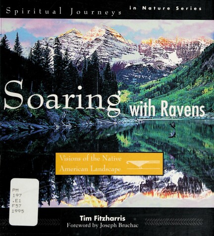 Book cover for Soaring with Ravens