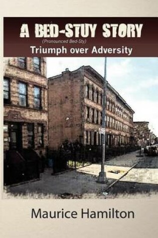 Cover of A Bed-Stuy Story