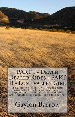 Book cover for Part I - Death Dealer Rides - Part II - Lost Valley Girl