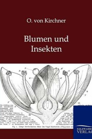 Cover of Blumen und Insekten