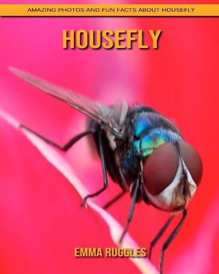 Book cover for Housefly