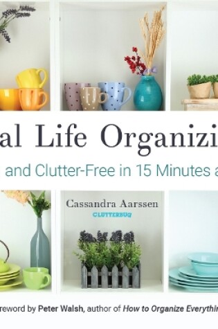 Cover of Real Life Organizing