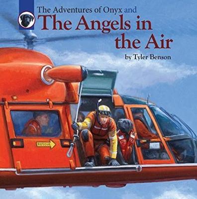 Book cover for The Adventures of Onyx and The Angels in the Air