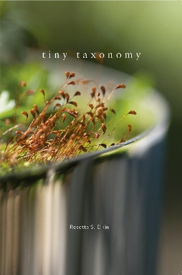 Cover of Tiny Taxonomy