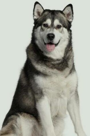 Cover of Alaskan Malamute