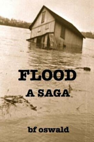 Cover of Flood