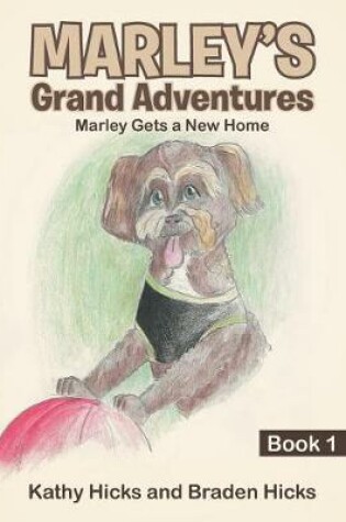 Cover of Marley's Grand Adventures