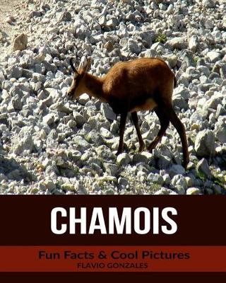 Book cover for Chamois