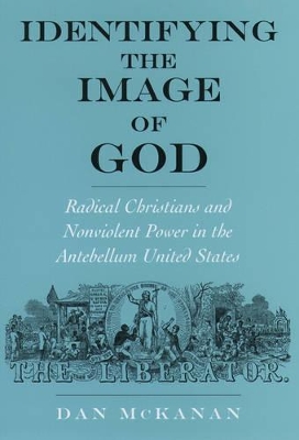 Book cover for Identifying the Image of God