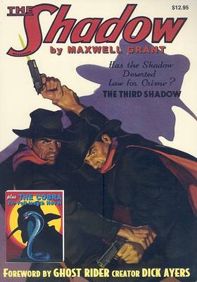 Book cover for Cobra & the Third Shadow