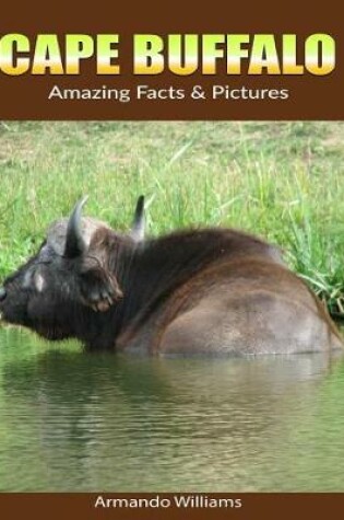 Cover of Cape Buffalo