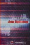 Book cover for Slow Lightning