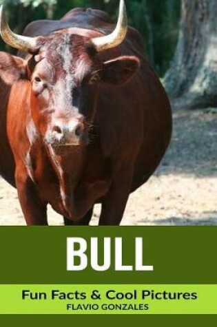 Cover of Bull