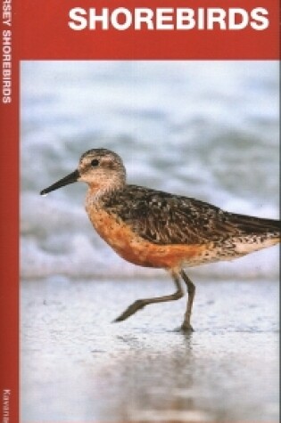 Cover of New Jersey Shorebirds