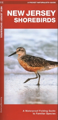 Book cover for New Jersey Shorebirds
