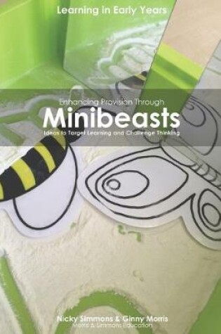 Cover of Enhancing Provision Through Minibeasts