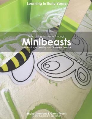 Book cover for Enhancing Provision Through Minibeasts