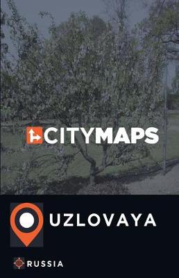 Book cover for City Maps Uzlovaya Russia