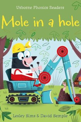 Cover of Mole in a Hole