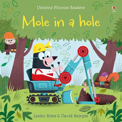 Book cover for Mole in a Hole