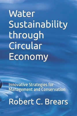 Book cover for Water Sustainability through Circular Economy