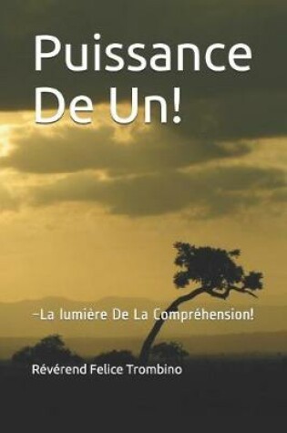 Cover of Puissance de Un!