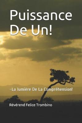Book cover for Puissance de Un!