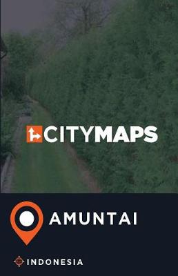 Book cover for City Maps Amuntai Indonesia