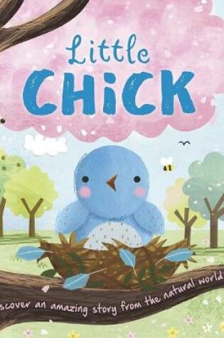 Cover of Nature Stories: Little Chick-Discover an Amazing Story from the Natural World