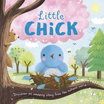 Cover of Nature Stories: Little Chick-Discover an Amazing Story from the Natural World