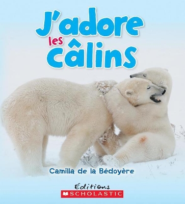 Book cover for J'Adore Les C�lins