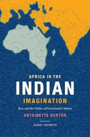 Cover of Africa in the Indian Imagination